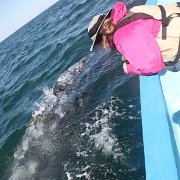 IMG 0001 2 (293)